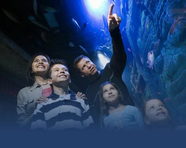 family fun at the aquarium pogo pass